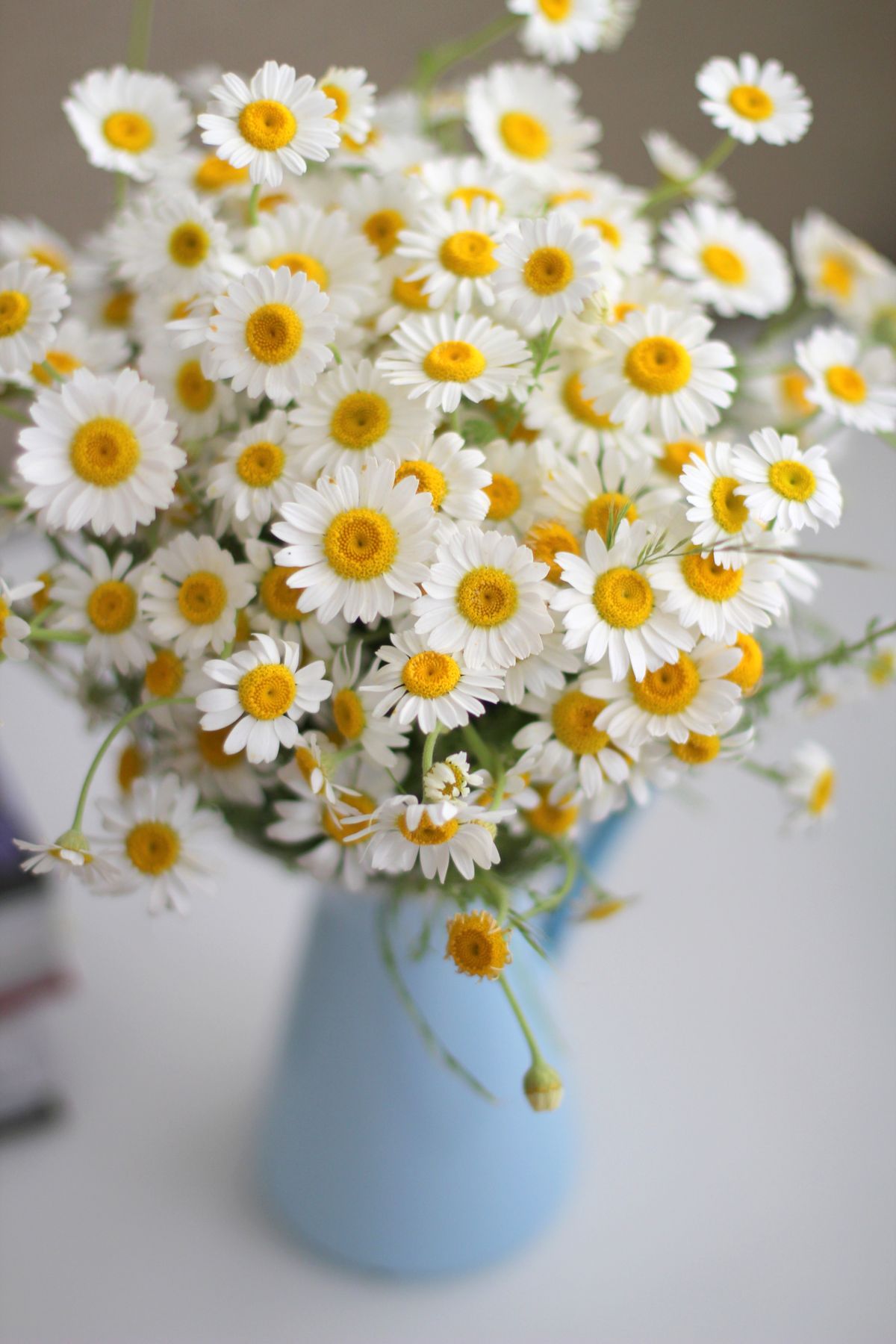 10 Creative Ways to Add Spring Flowers to Your Home Design