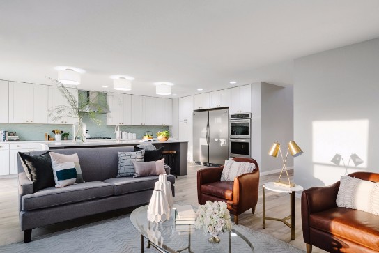 Scandinavian White and Gray Open Concept Kitchen