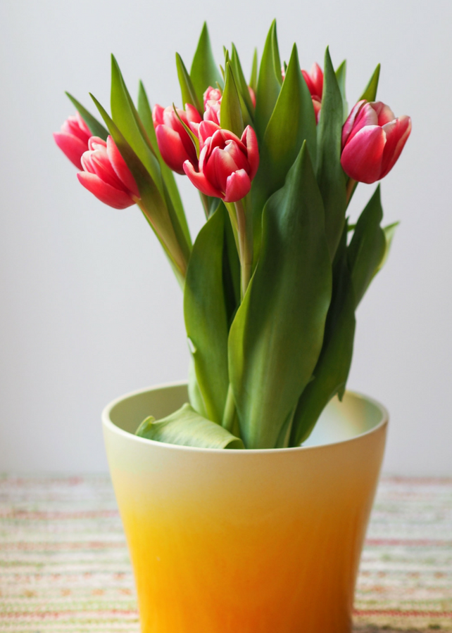 5 Easter Decorations You Need To Have
