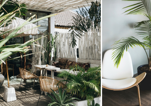Best Ways for a natural interior design (2)