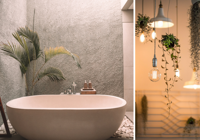 Best Ways for a natural interior design (3)