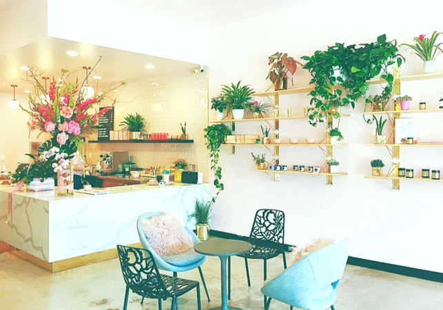 Best Ways for a natural interior design (6)