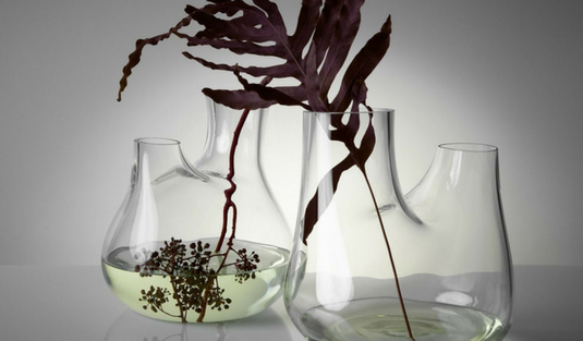 Plant Is All You Need In Your Home Interior Decor!